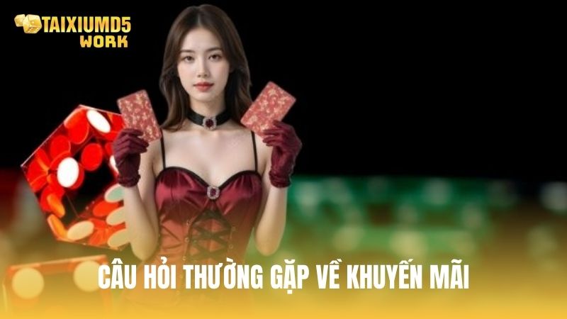 Những câu hỏi về khuyến mãi và trải nghiệm Tài Xỉu MD5