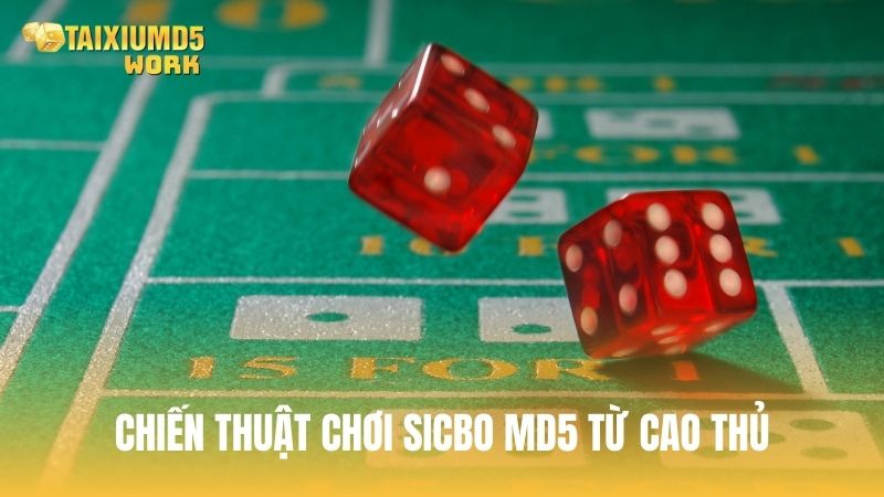 Chia sẻ một vài chiến thuật chơi Sicbo MD5 hiệu quả