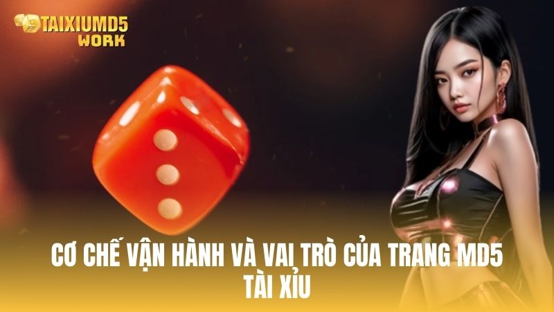 Hiểu đúng về cơ chế vận hành và vai trò của trang Tài Xỉu MD5