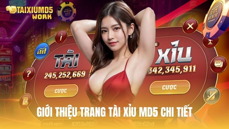 Giới thiệu trang Tài Xỉu MD5 chi tiết