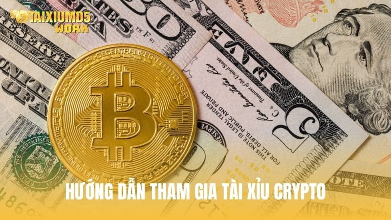 Hướng dẫn tham gia cược tài xỉu bằng Crypto