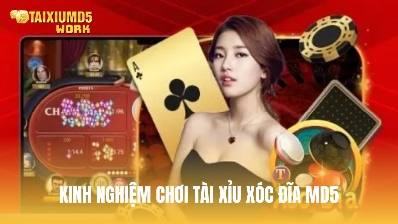 Kinh nghiệm chơi Tài Xỉu Xóc Đĩa MD5 luôn thắng từ cao thủ