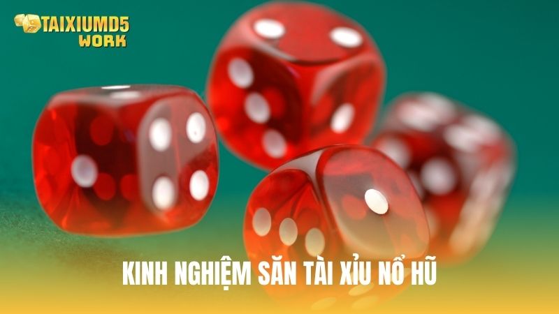 Chia sẻ kinh nghiệm săn hũ tài xỉu từ các chuyên gia
