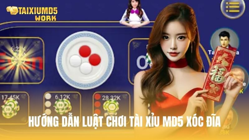 Hướng dẫn luật chơi Tài Xỉu MD5 Xóc Đĩa
