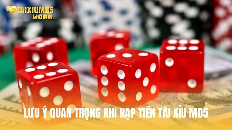 Lưu ý quan trọng khi thực hiện nạp tiền vào Tài Xỉu MD5