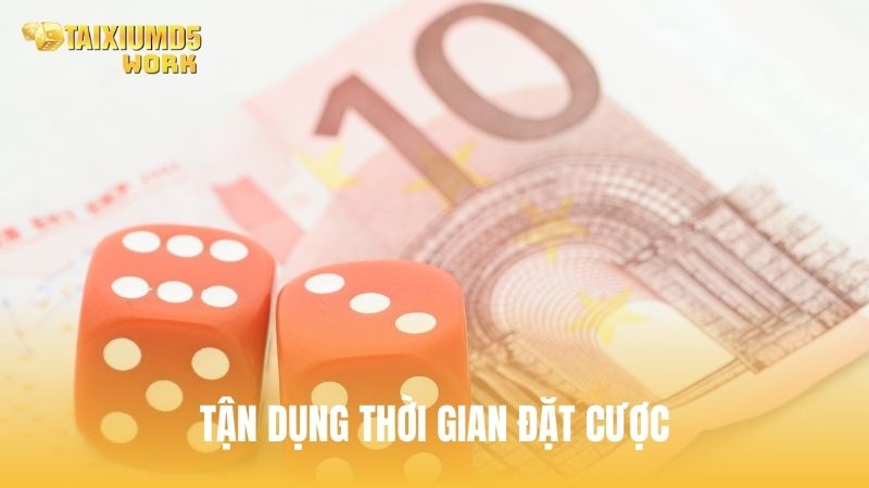 Tận dụng thời gian đặt cược (Mẹo 5 giây cuối) trong Tài Xỉu MD5