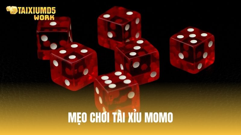 Một số mẹo chơi tài xỉu trên Momo