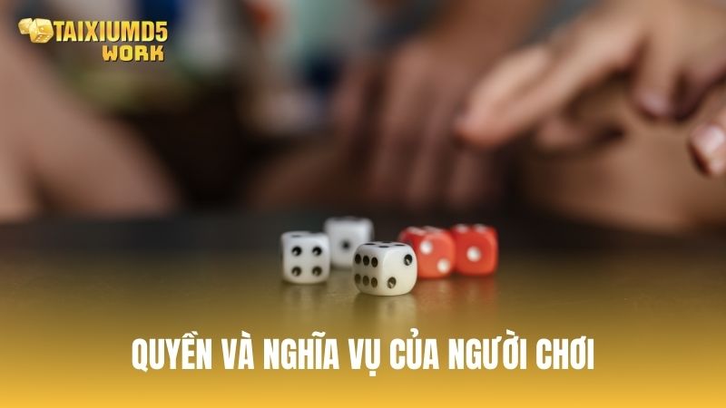 Quyền và nghĩa vụ của người chơi khi tham gia Tài Xỉu