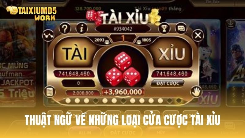 Thuật ngữ về những loại cửa cược trong trò chơi tài xỉu