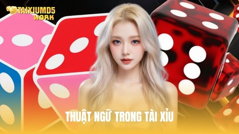 Tổng hợp thuật ngữ trong tài xỉu đầy đủ và mới nhất 2026