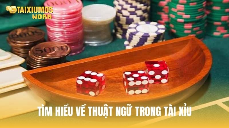 Tìm hiểu về thuật ngữ trong tài xỉu
